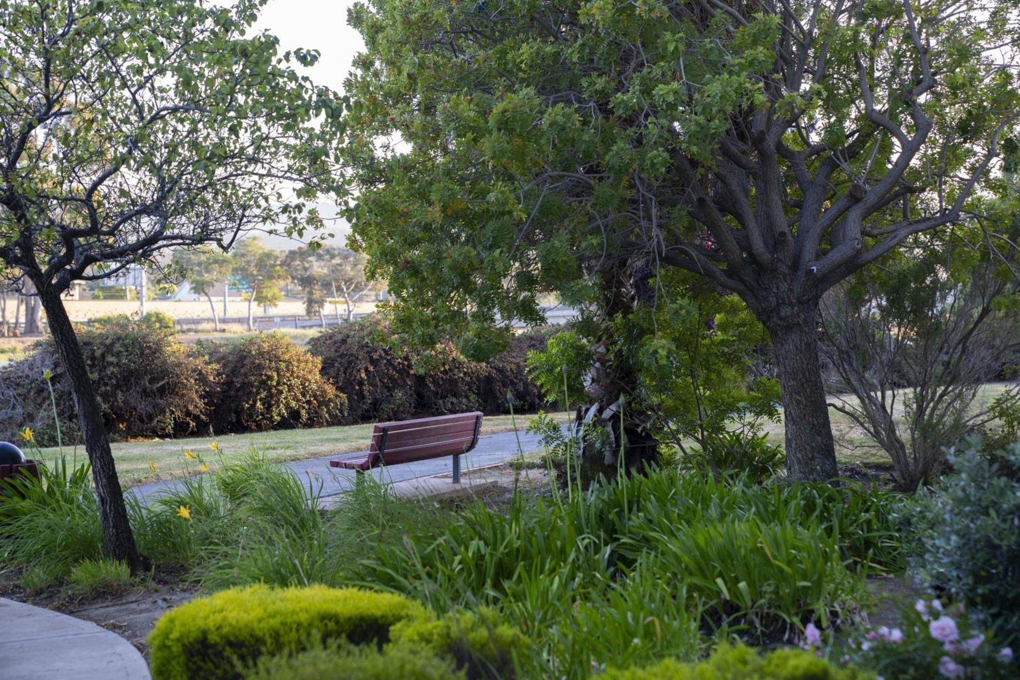 מלון Courtyard San Francisco Airport ברלינגיים מראה חיצוני תמונה